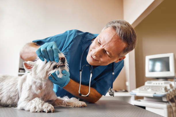 Best Pediatric Emergency Dentist in Abilene, KS